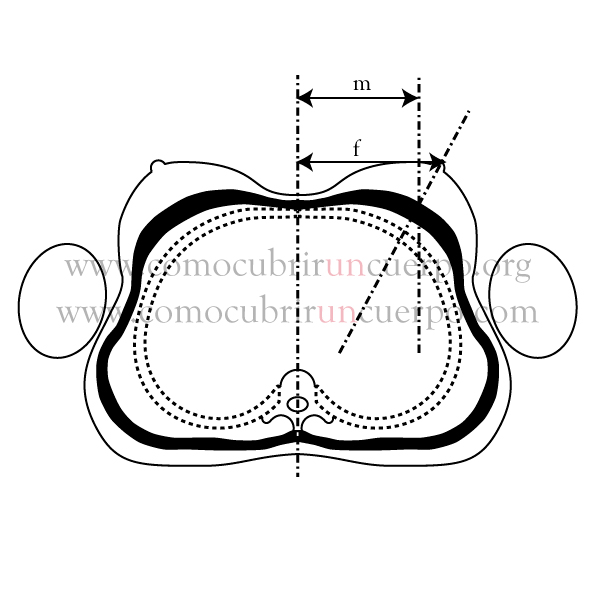 contorno de tÃ³rax femenino thorax outline contour de poitrine fÃ©minin giro torace femminile CÃ²mo cubrir un cuerpo comocubriruncuerpo