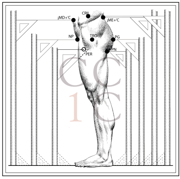 Pierna-desollada Còmo cubrir un cuerpo comocubriruncuerpo